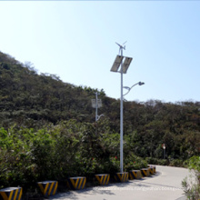 Wind Solar Lighting/Wind Power Light